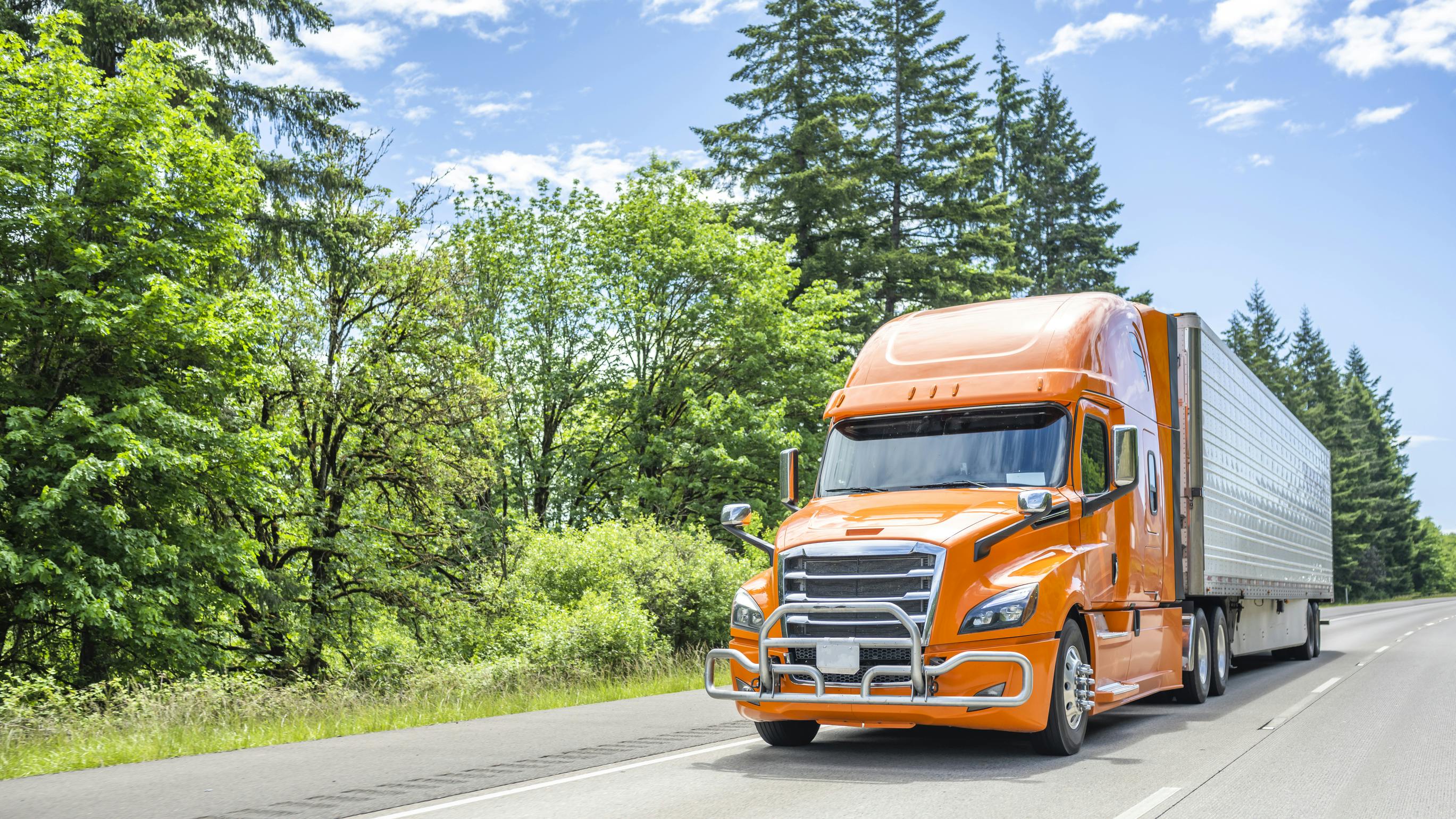 The Essential Components of Cold Chain Logistics and Top Providers to Watch