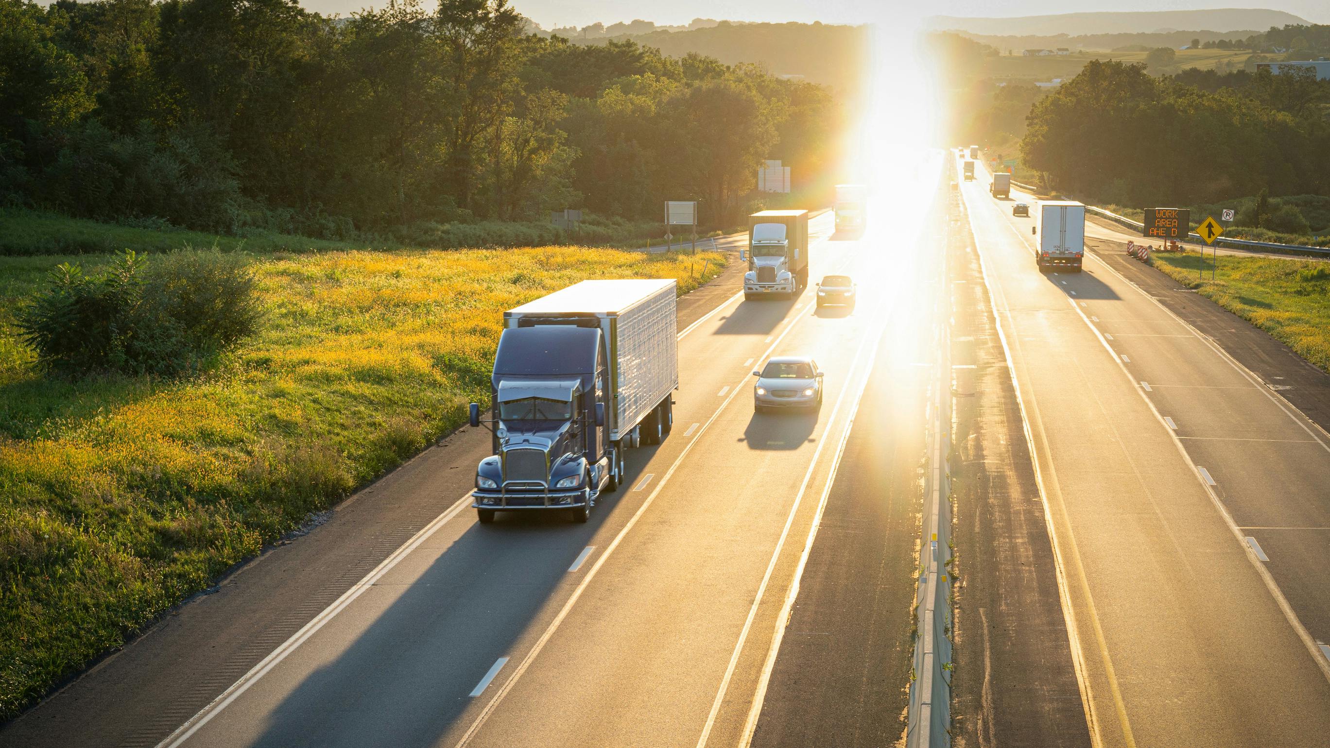 Freight network structure and carrier relationships shape volatility in trucking markets