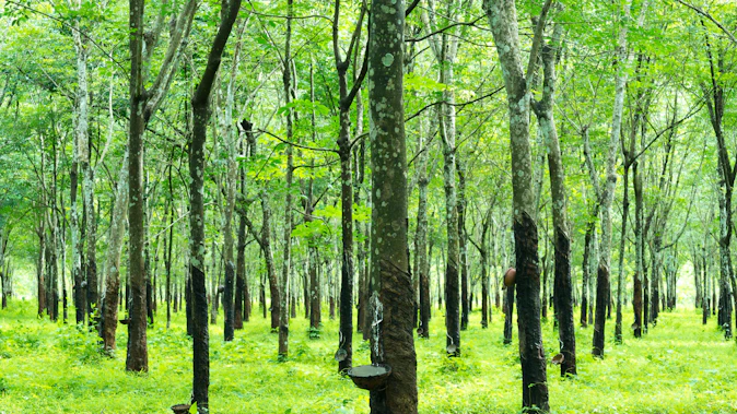 Truck tire prices face pressure from natural rubber, crude oil, and energy costs