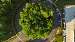Trane Technologies highlights cold chain and emissions progress in 2025 report Trane Technologies highlights cold chain and emissions progress in 2025 report