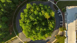 Trane Technologies highlights cold chain and emissions progress in 2025 report Trane Technologies highlights cold chain and emissions progress in 2025 report