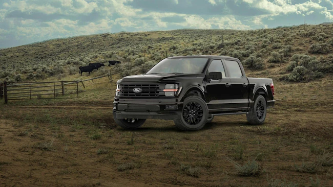 Ford F-150 models&rsquo; daytime running lights may not dim