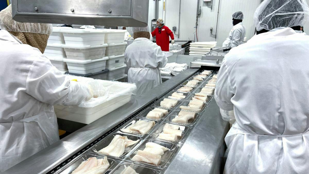 BSF and Lineage have renewed their partnership through June 2028, with Lineage managing warehousing and distribution for BSF&rsquo;s extensive seafood SKUs across two temperature-controlled facilities.