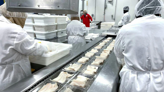 BSF and Lineage have renewed their partnership through June 2028, with Lineage managing warehousing and distribution for BSF&rsquo;s extensive seafood SKUs across two temperature-controlled facilities.